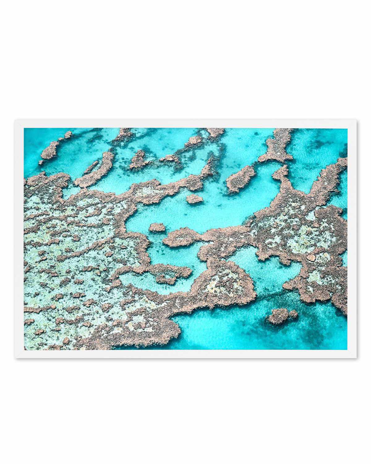 Great Barrier Reef I Art Print