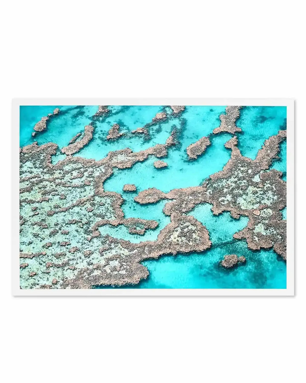 Great Barrier Reef I Art Print from Olive et Oriel where you can shop wallpaper and artworks online