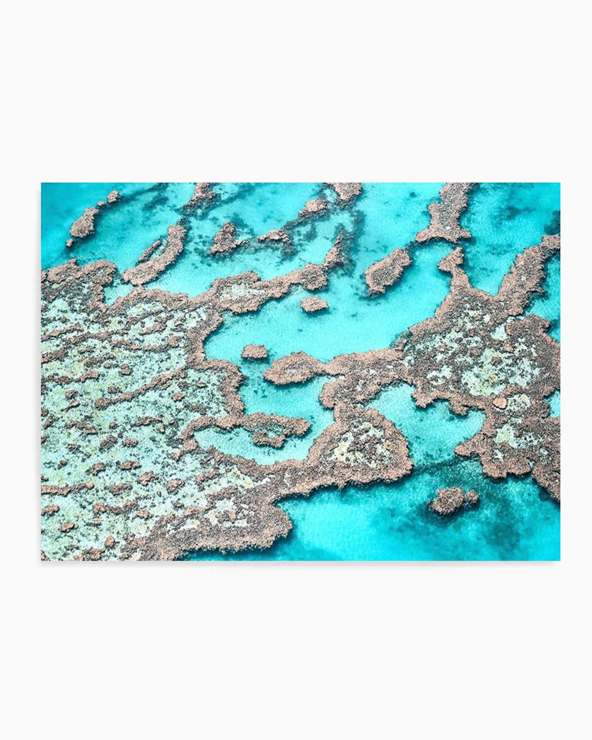 Great Barrier Reef I Art Print