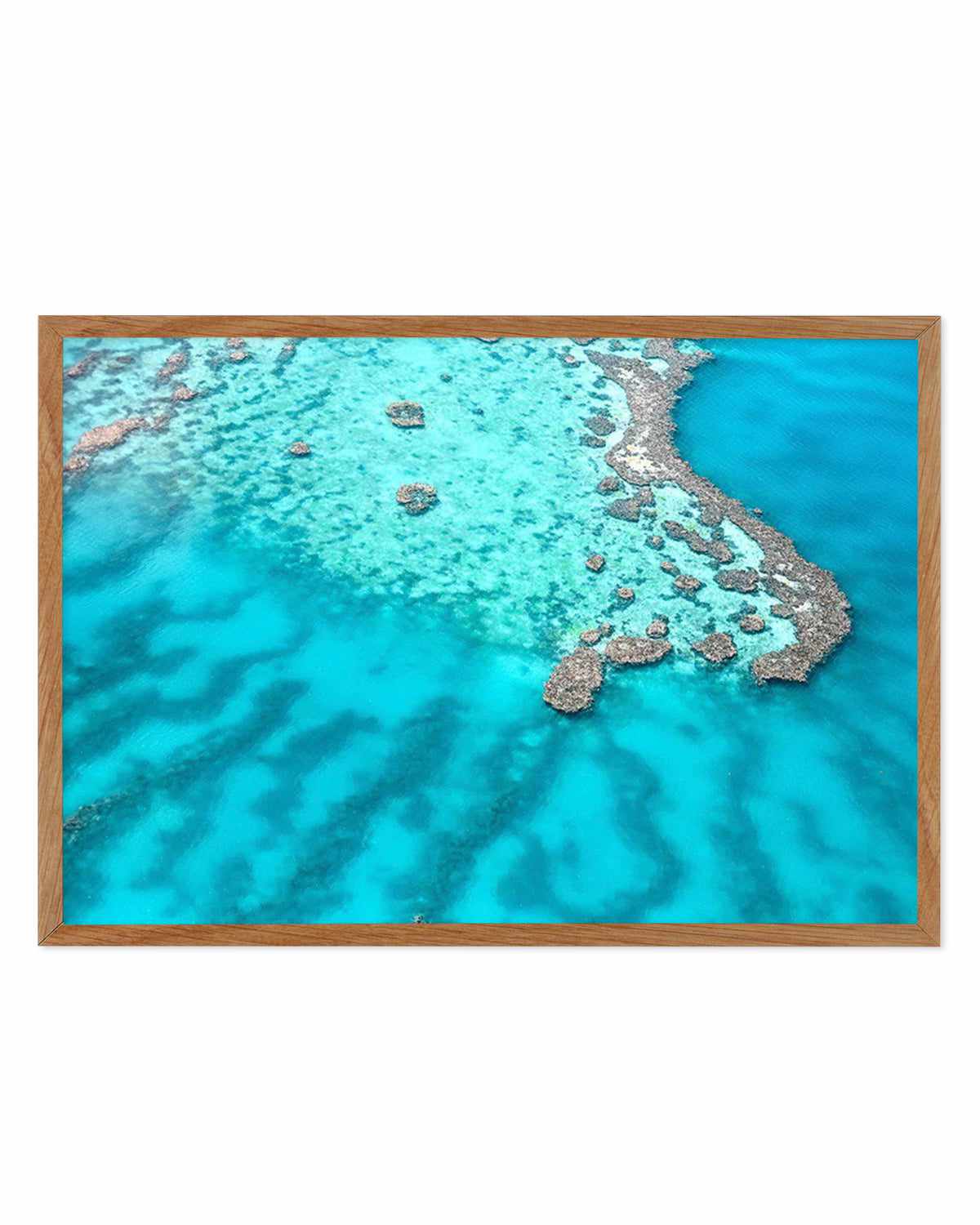 Great Barrier Reef II Art Print