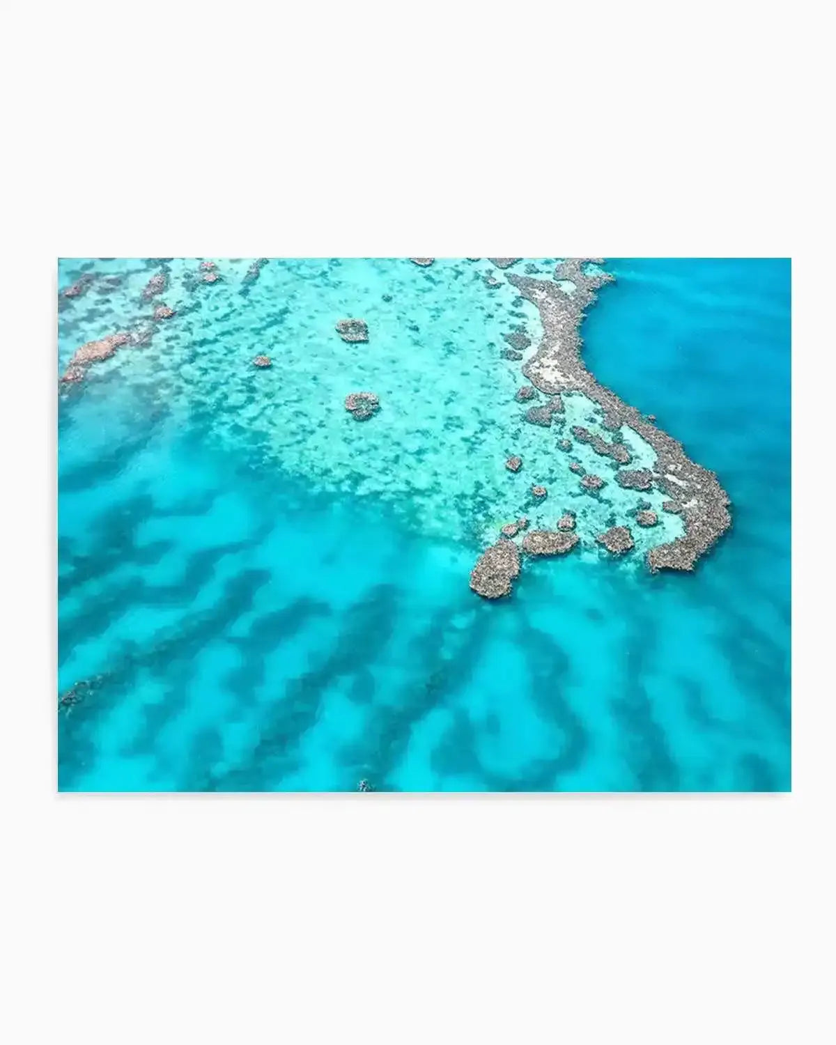 Great Barrier Reef II Art Print from Olive et Oriel where you can shop wallpaper and artworks online