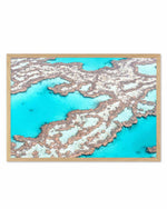 Great Barrier Reef III Art Print