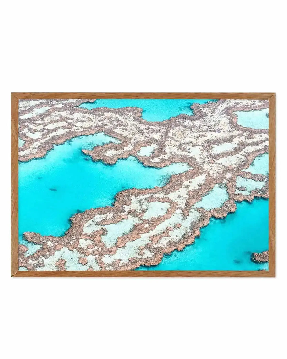 Great Barrier Reef III Art Print from Olive et Oriel where you can shop wallpaper and artworks online