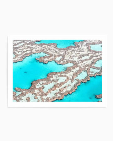 Aerial photography art print of the Great Barrier Reef featuring intricate coral formations in pale pink and white against vibrant turquoise ocean water. The composition shows the delicate, branching patterns of the reef with deeper blue channels of water winding through them.