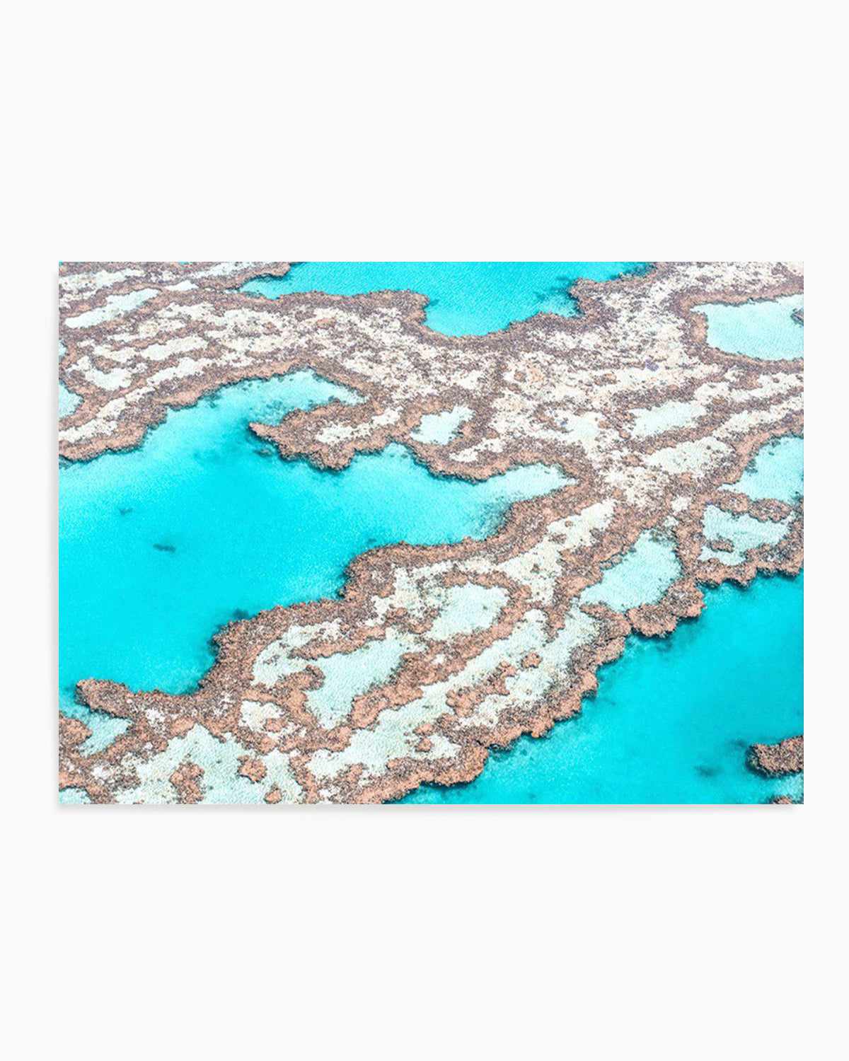 Great Barrier Reef III Art Print