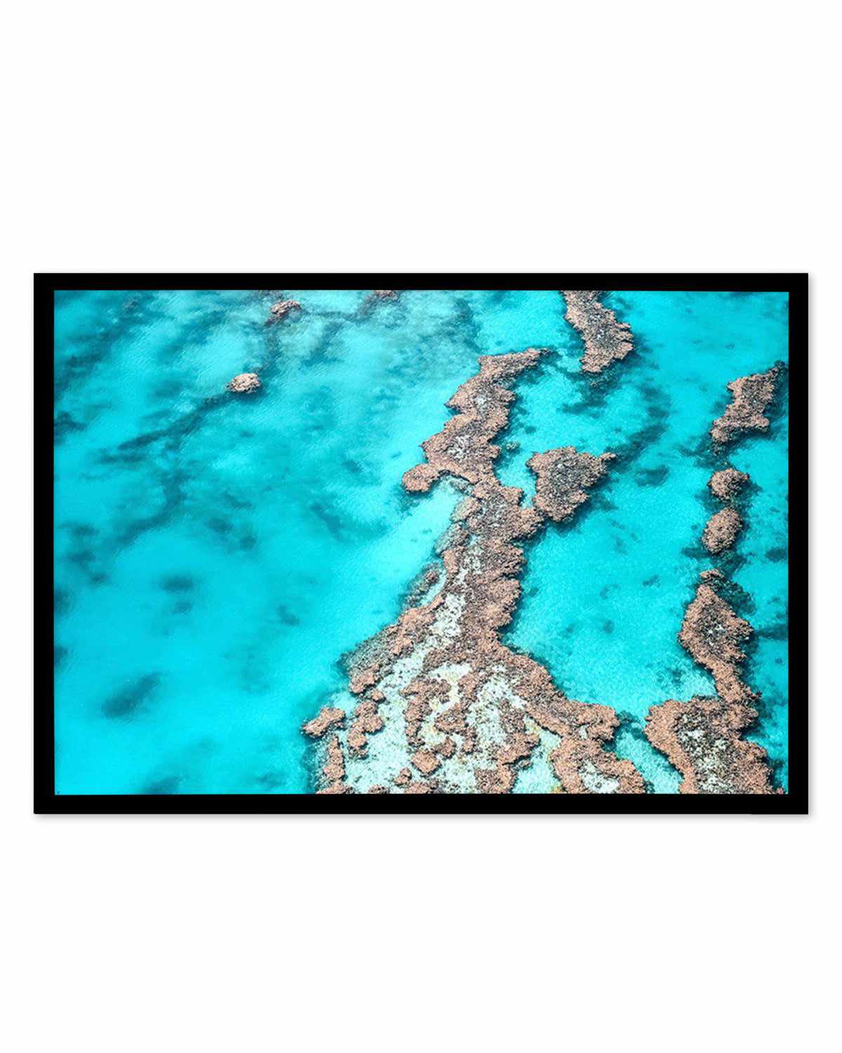 Great Barrier Reef IV Art Print