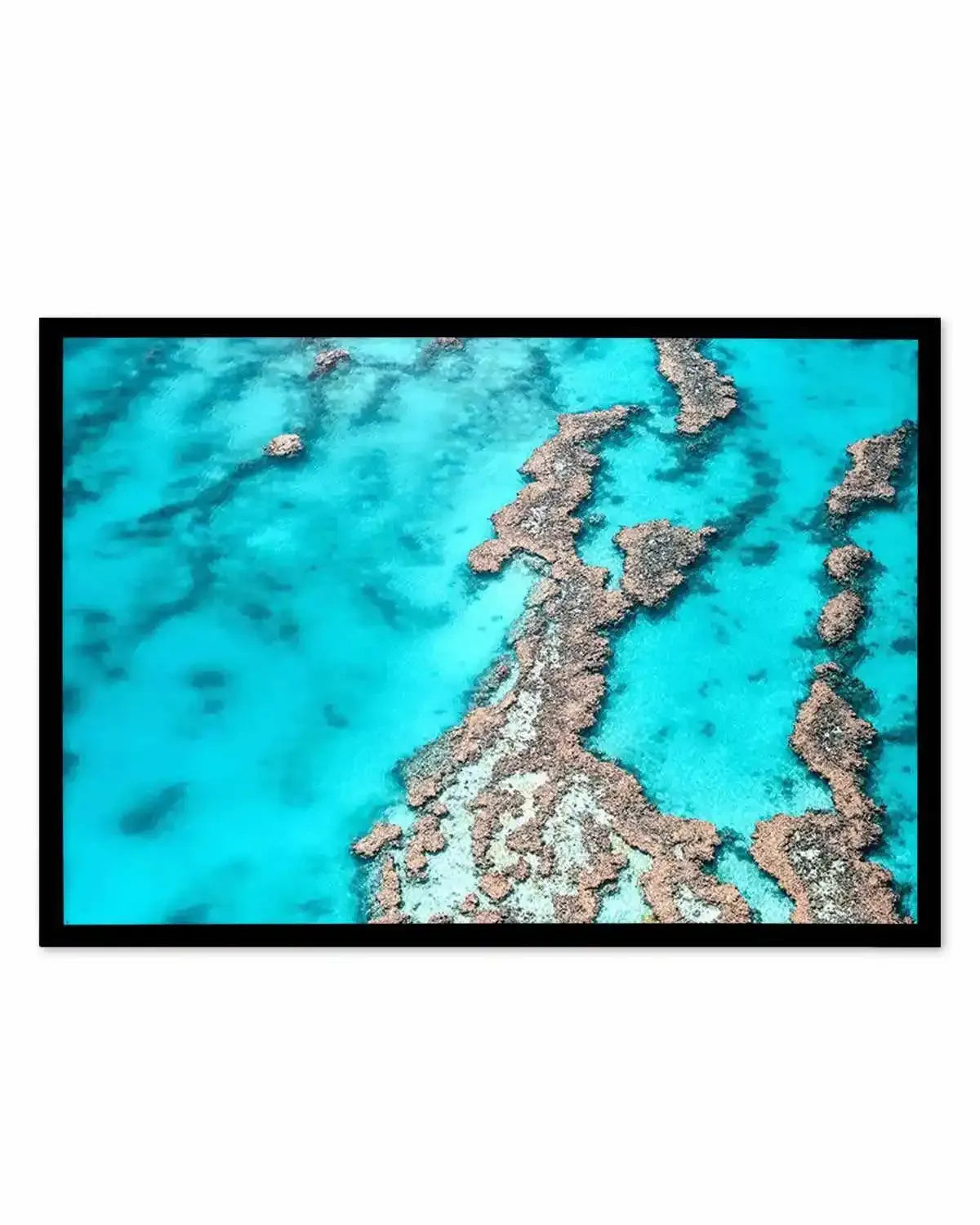 Great Barrier Reef IV Art Print from Olive et Oriel where you can shop wallpaper and artworks online