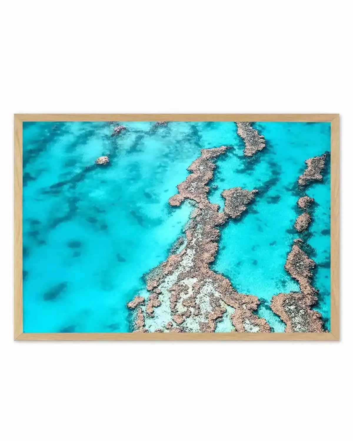 Great Barrier Reef IV Art Print from Olive et Oriel where you can shop wallpaper and artworks online