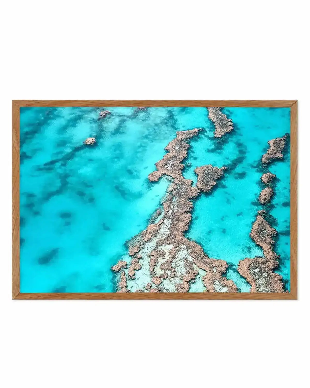 Great Barrier Reef IV Art Print from Olive et Oriel where you can shop wallpaper and artworks online