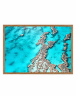 Great Barrier Reef IV Art Print