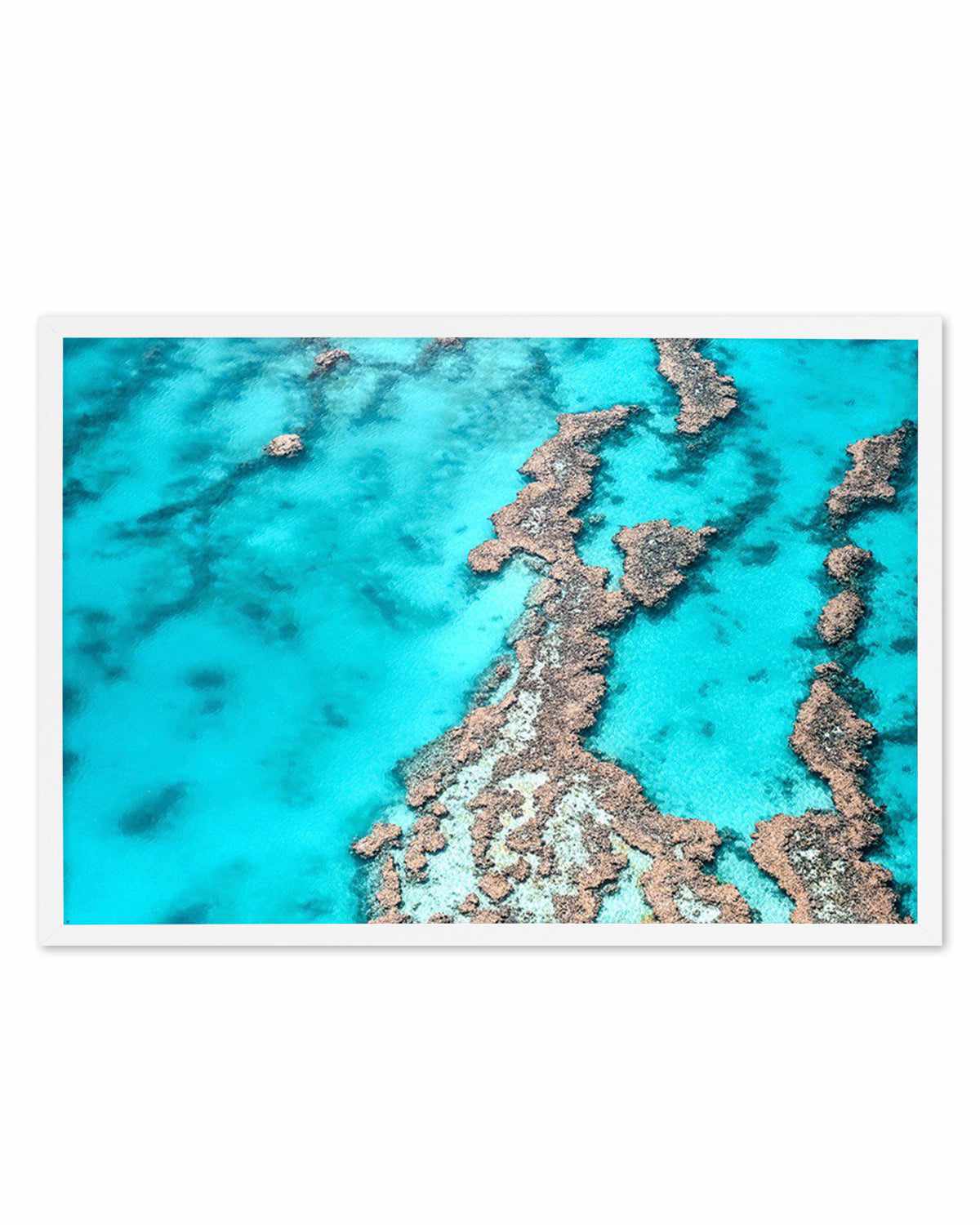 Great Barrier Reef IV Art Print