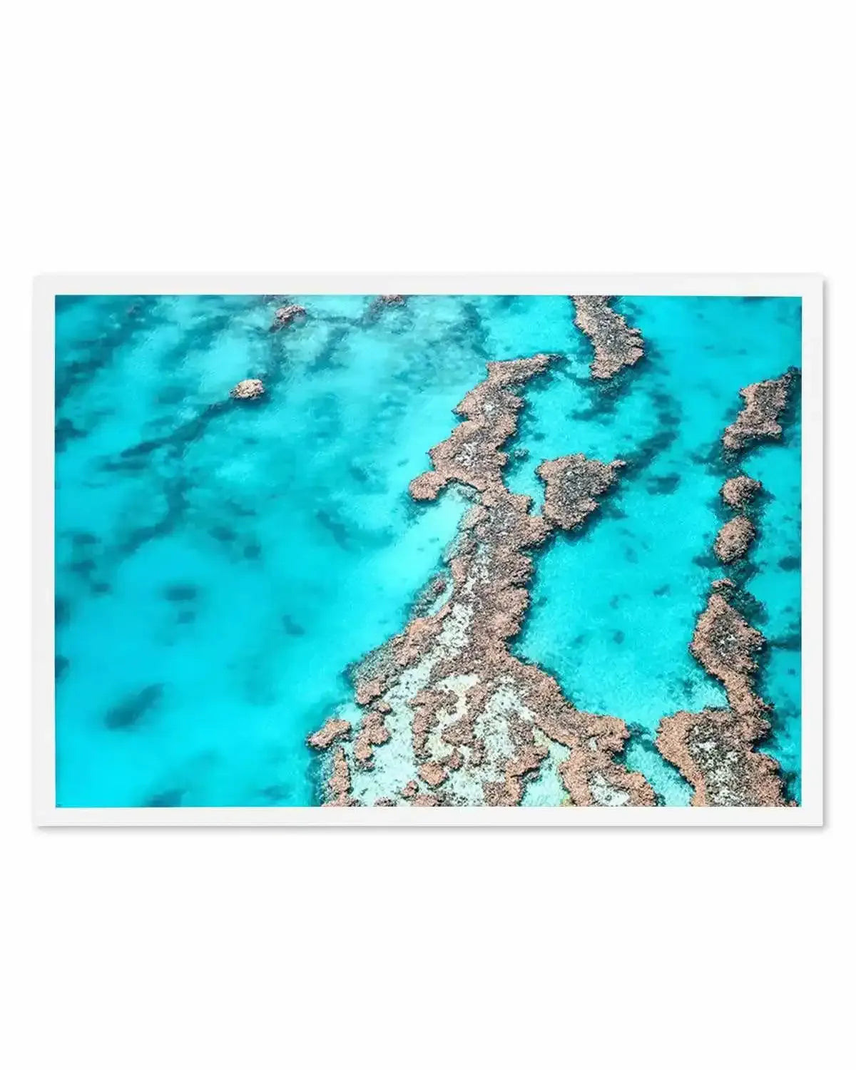 Great Barrier Reef IV Art Print from Olive et Oriel where you can shop wallpaper and artworks online
