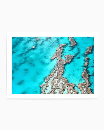 Aerial photography art print of the Great Barrier Reef, featuring clear turquoise ocean water with scattered coral formations in shades of brown and beige, creating an intricate natural pattern. Printed on fine art paper with a matte finish.