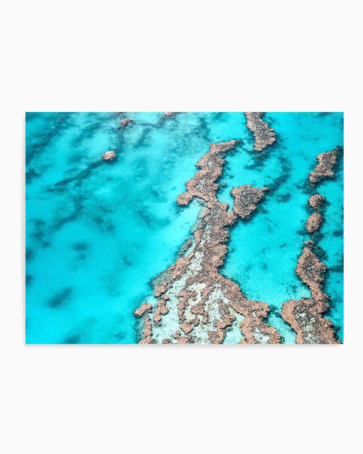 Great Barrier Reef IV Art Print