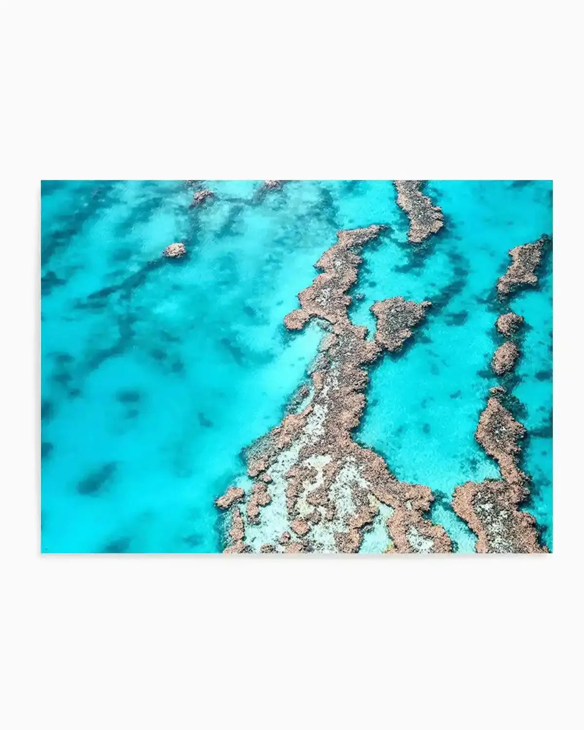Great Barrier Reef IV Art Print from Olive et Oriel where you can shop wallpaper and artworks online