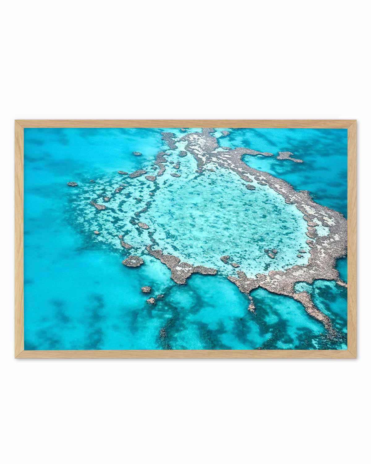 Great Barrier Reef V Art Print