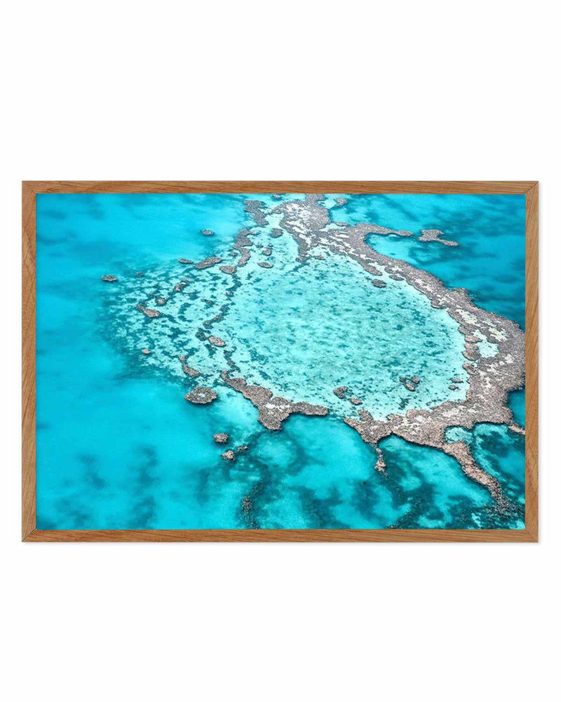 Great Barrier Reef V Art Print