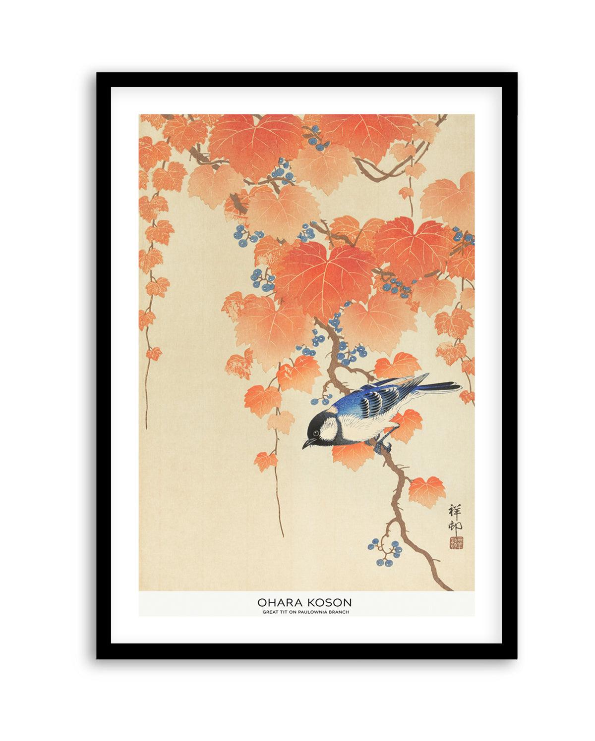 Great Tit On Paulownia Branch | Art Print