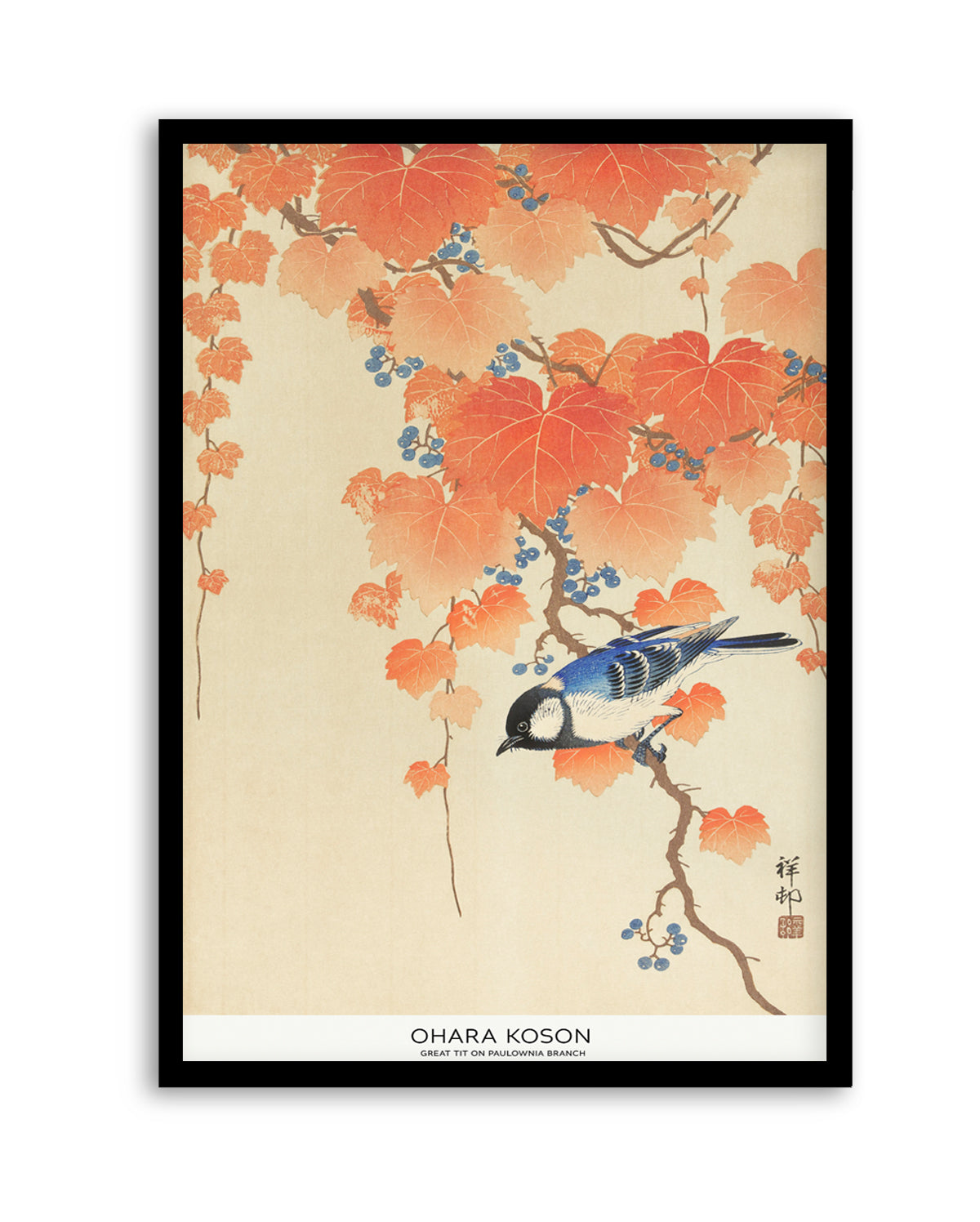 Great Tit On Paulownia Branch | Art Print