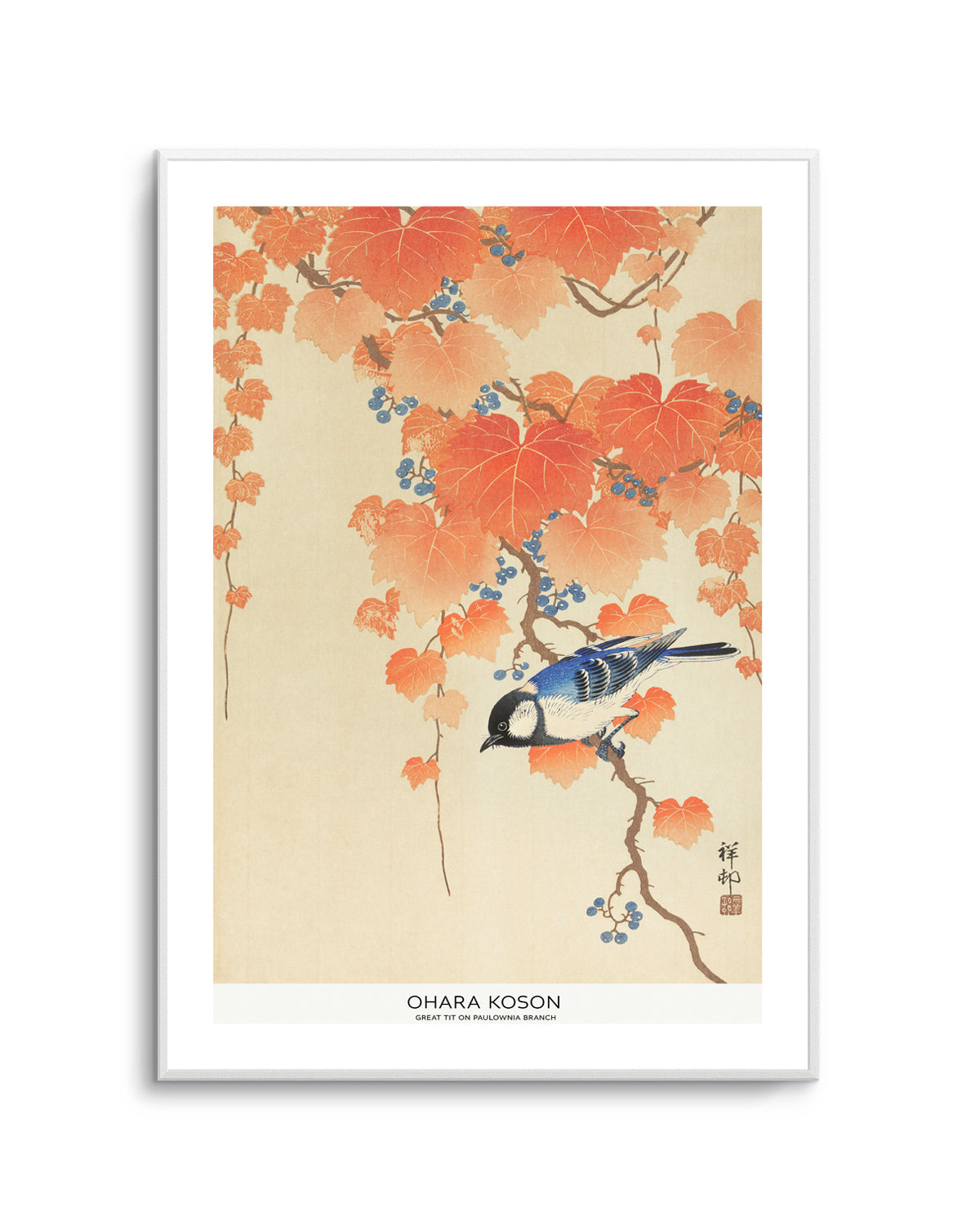 Great Tit On Paulownia Branch | Art Print