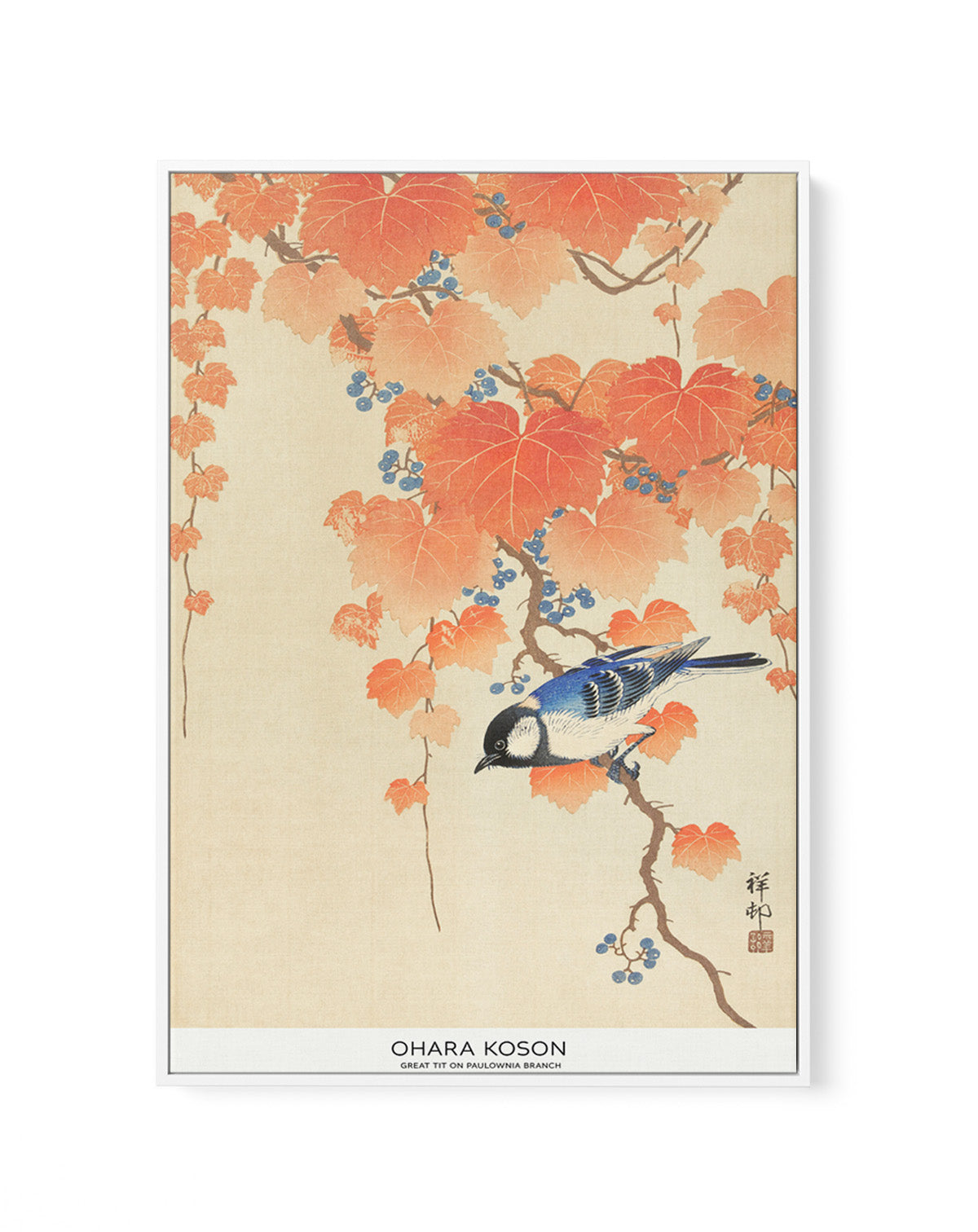 Great Tit On Paulownia Branch | Framed Canvas Art Print
