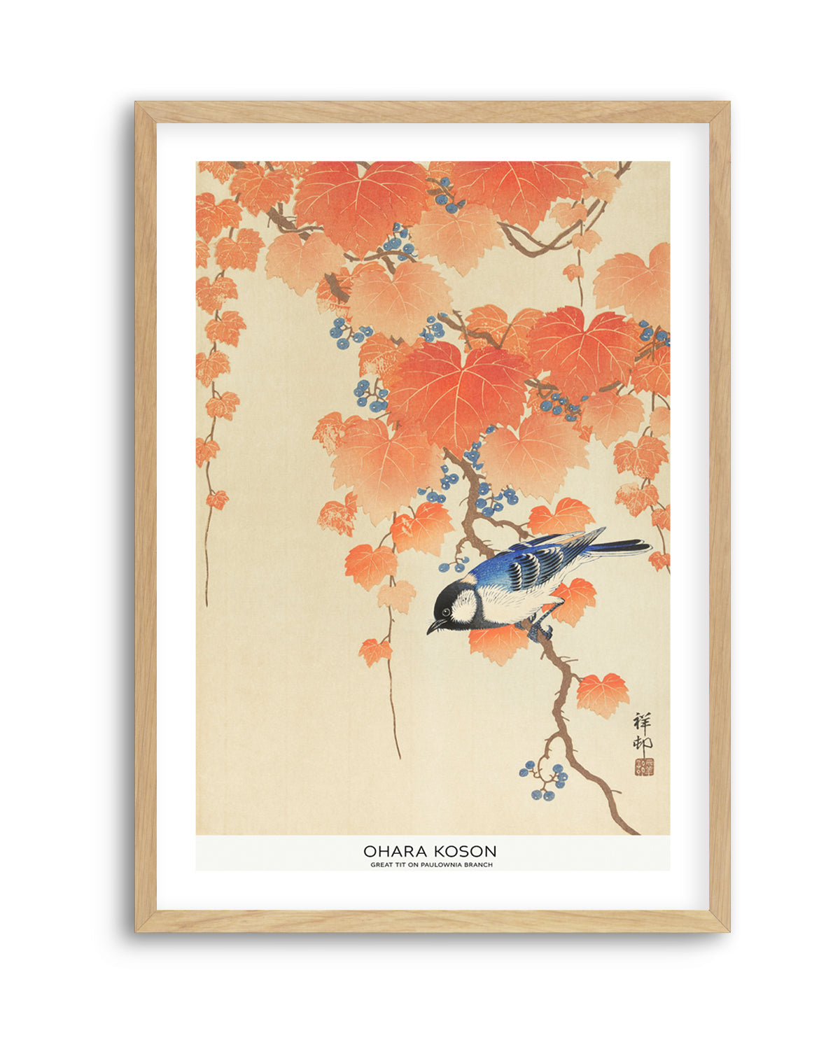 Great Tit On Paulownia Branch | Art Print