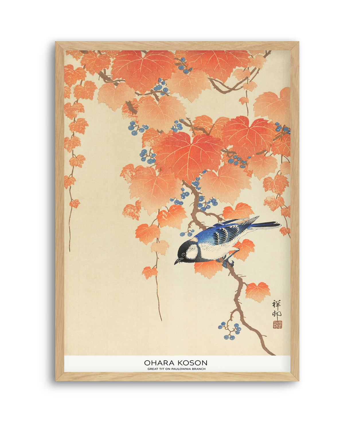 Great Tit On Paulownia Branch | Art Print