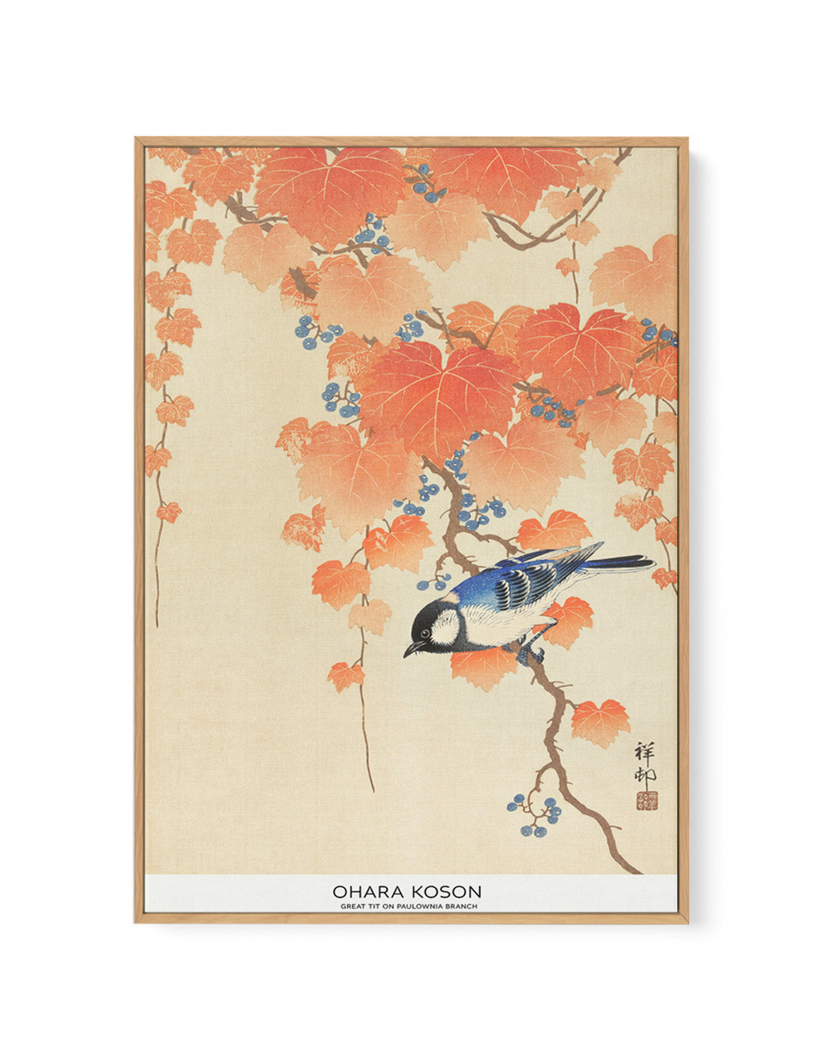 Great Tit On Paulownia Branch | Framed Canvas Art Print