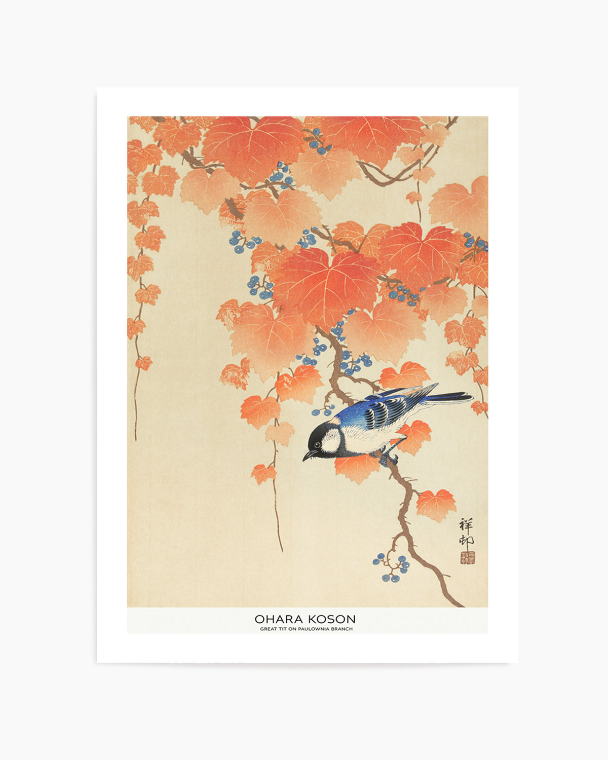 Great Tit On Paulownia Branch | Art Print
