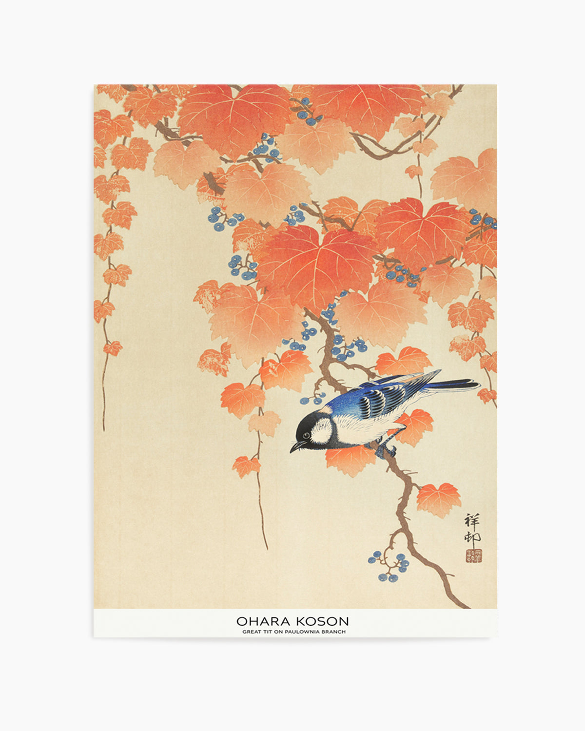 Great Tit On Paulownia Branch | Art Print