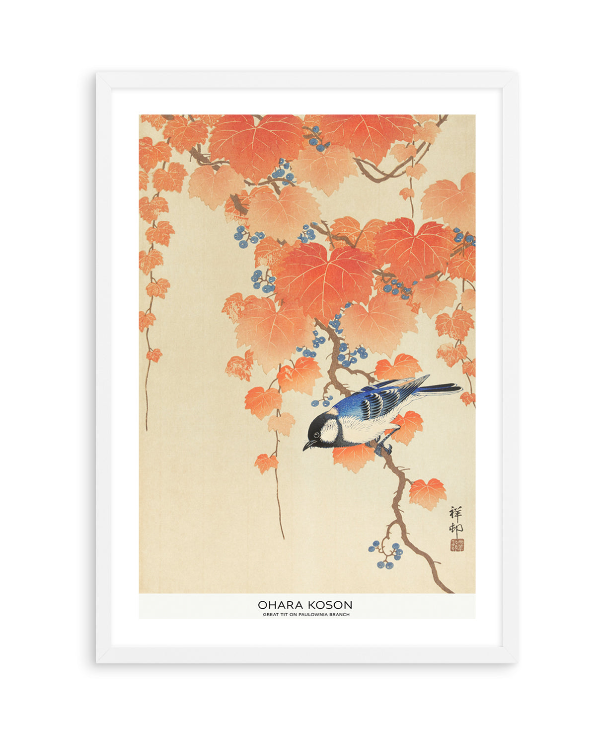 Great Tit On Paulownia Branch | Art Print
