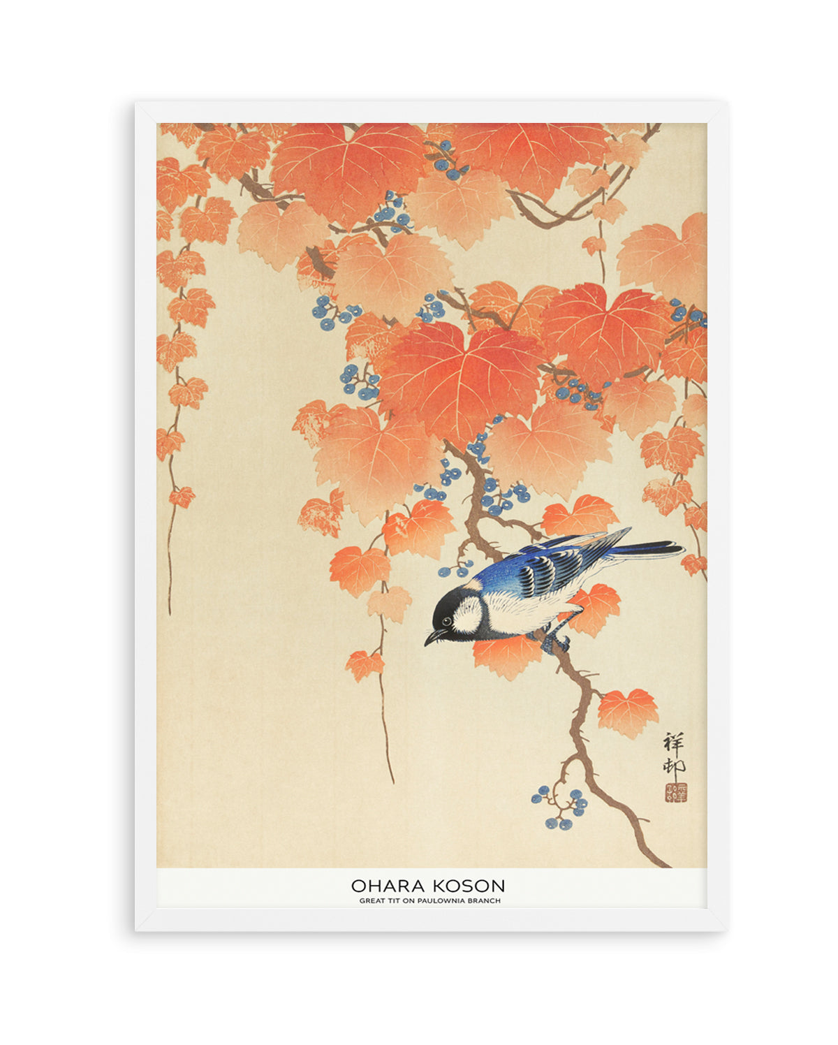 Great Tit On Paulownia Branch | Art Print