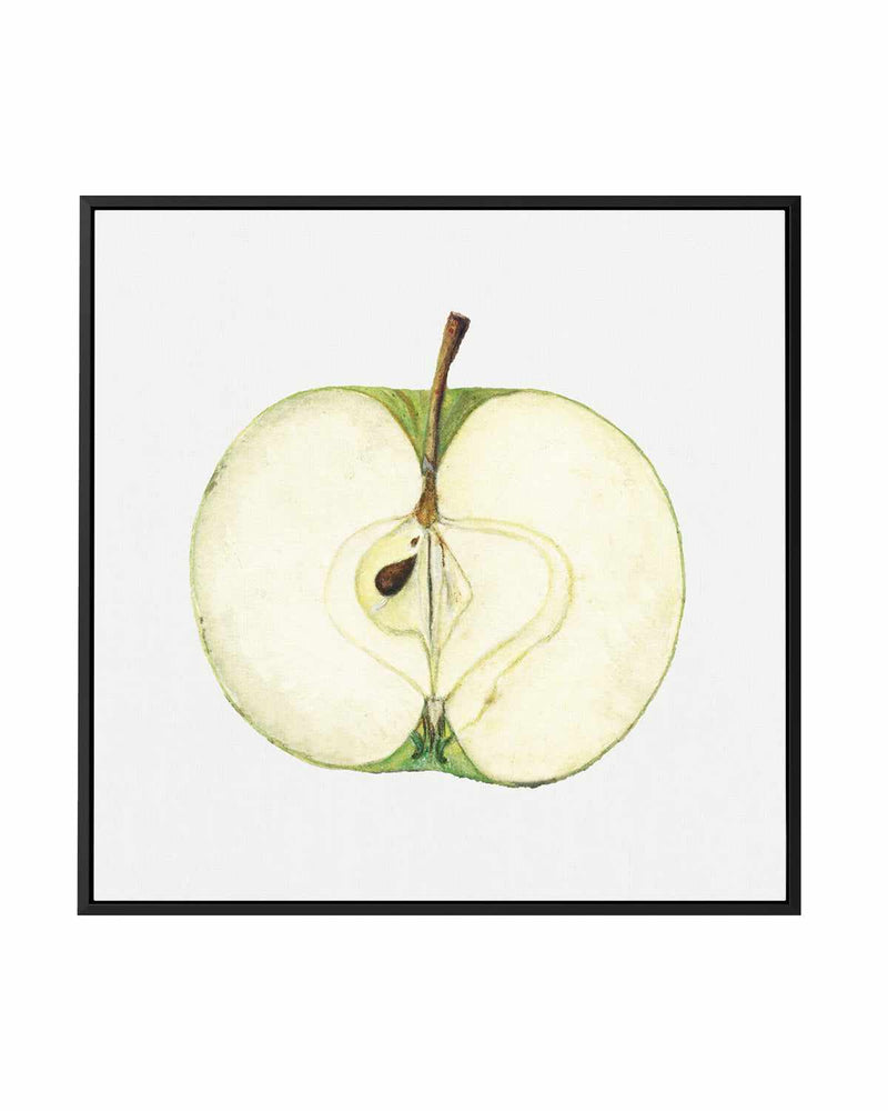 Green Apple Half Vintage Poster | Framed Canvas Art Print