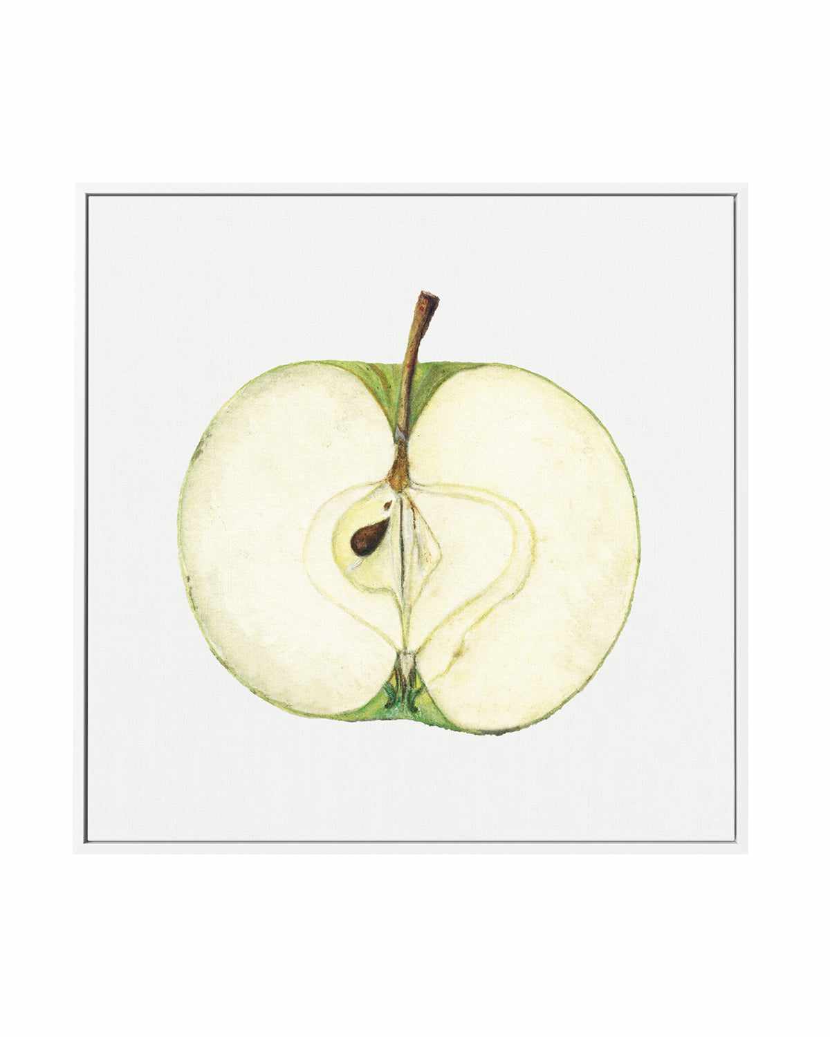 Green Apple Half Vintage Poster | Framed Canvas Art Print