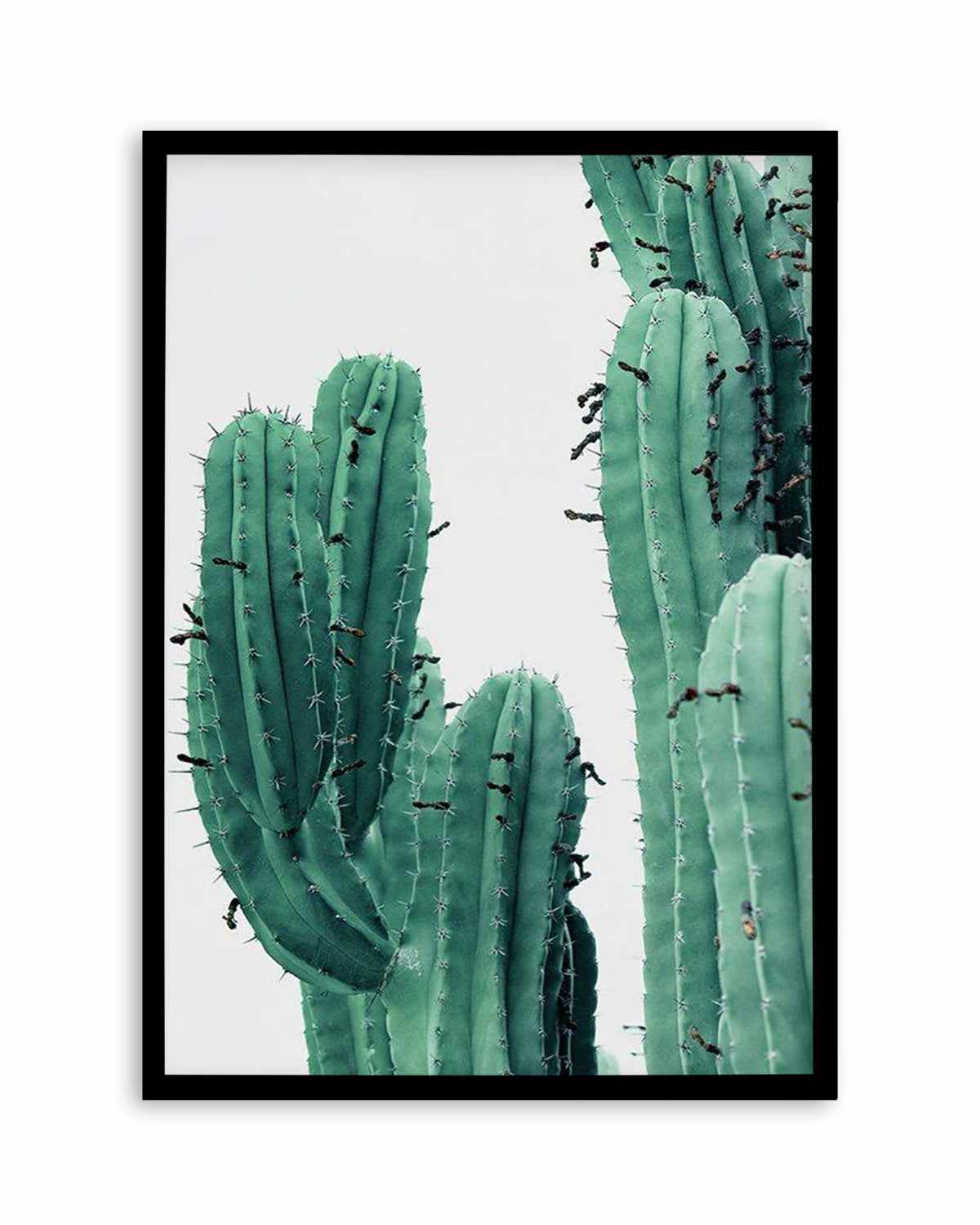 Green Cactus I Art Print