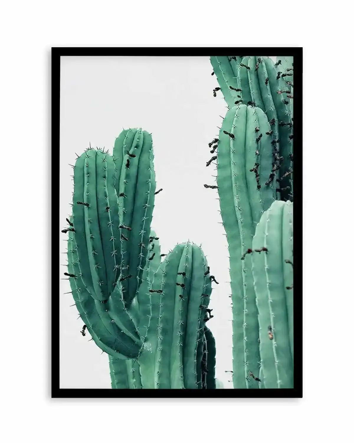 Green Cactus I Art Print from Olive et Oriel where you can shop wallpaper and artworks online