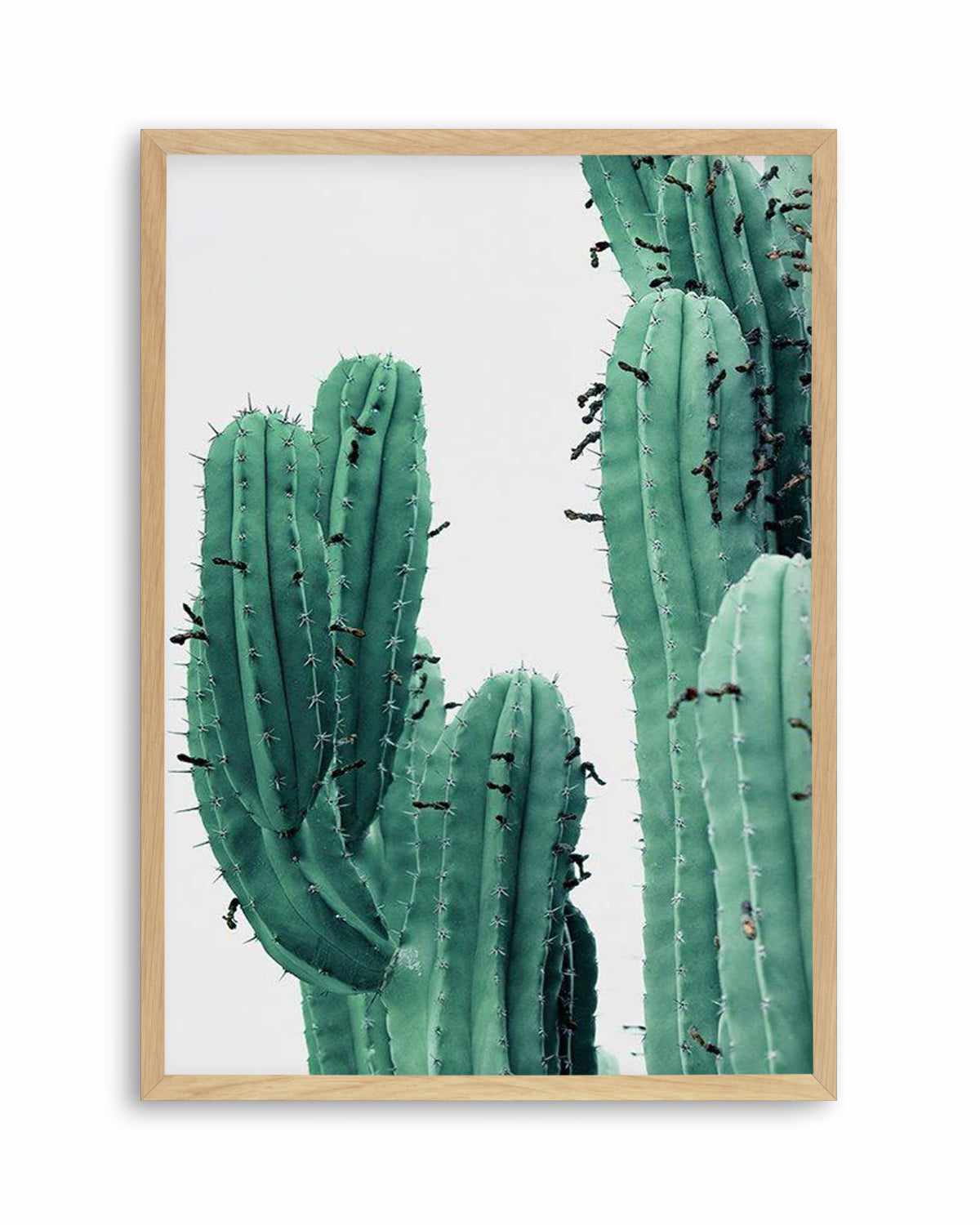 Green Cactus I Art Print