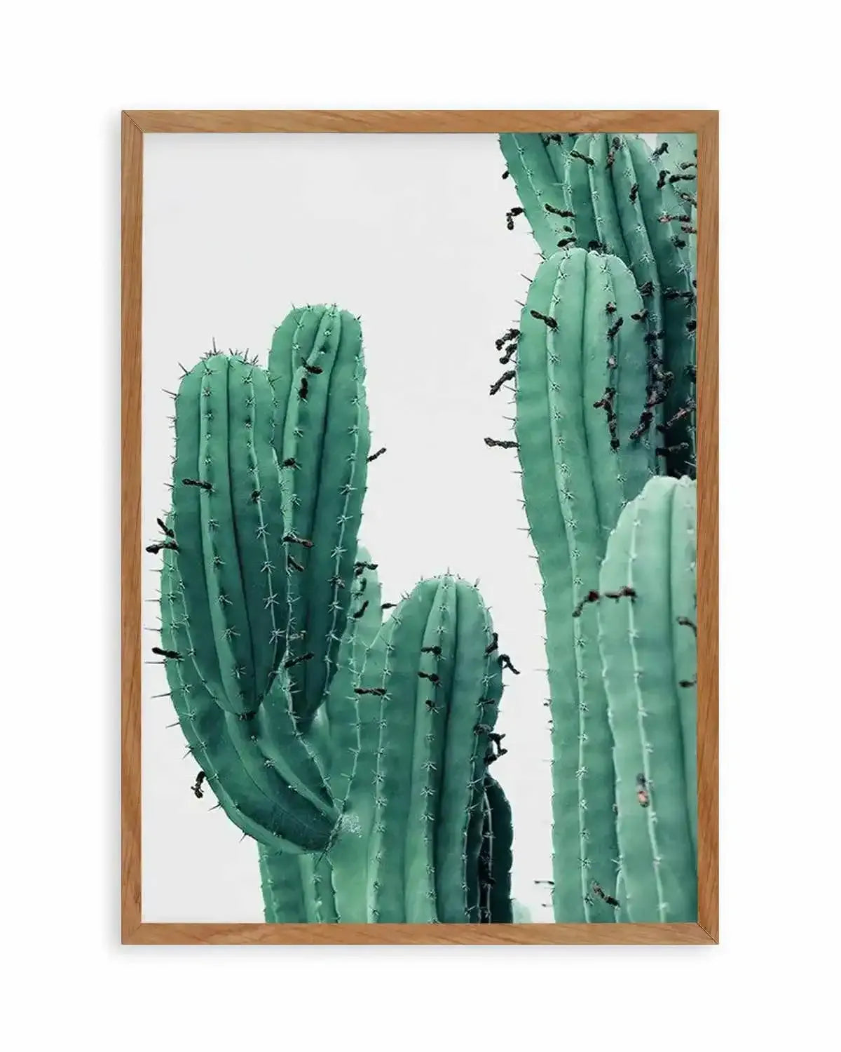 Green Cactus I Art Print from Olive et Oriel where you can shop wallpaper and artworks online