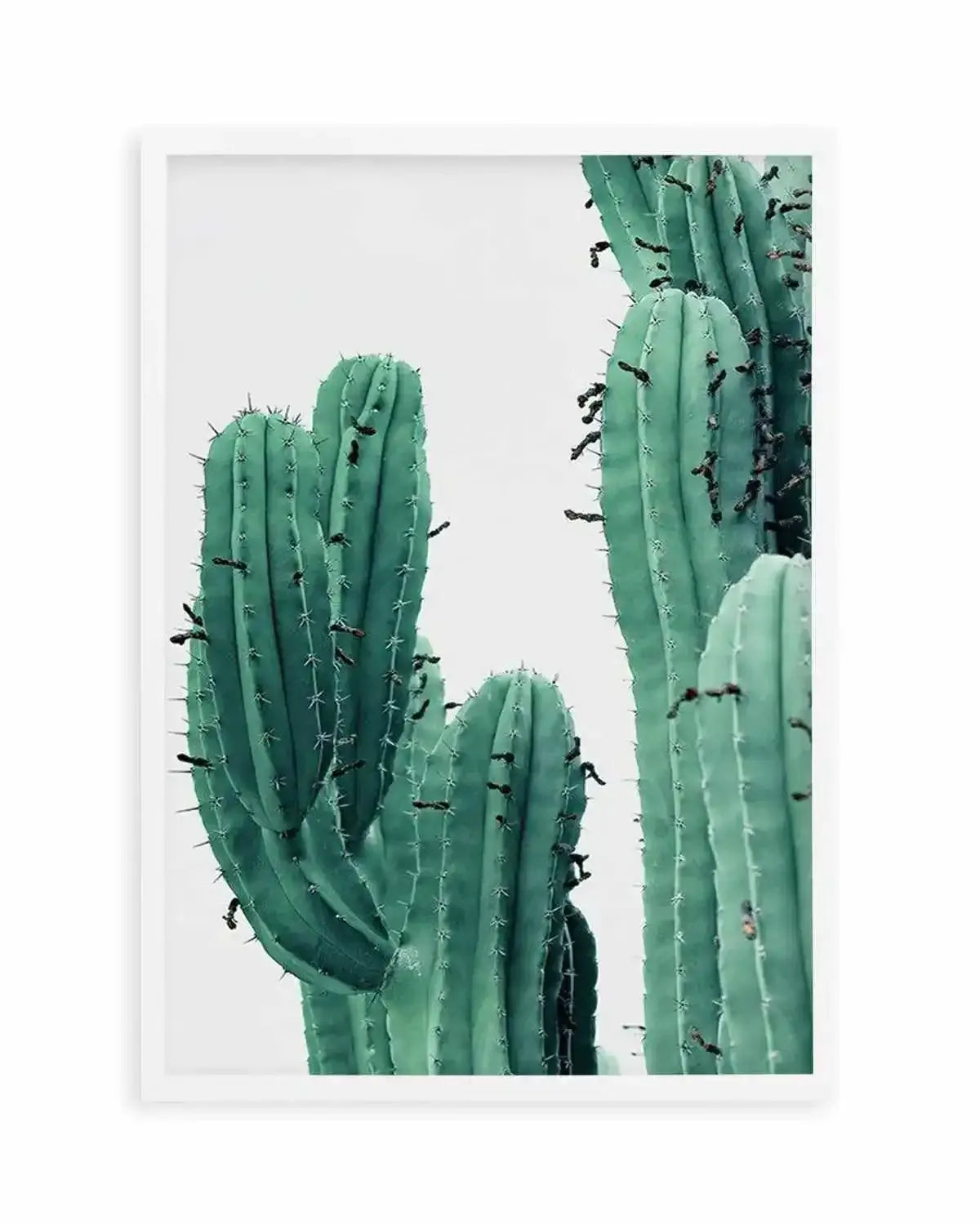 Green Cactus I Art Print from Olive et Oriel where you can shop wallpaper and artworks online