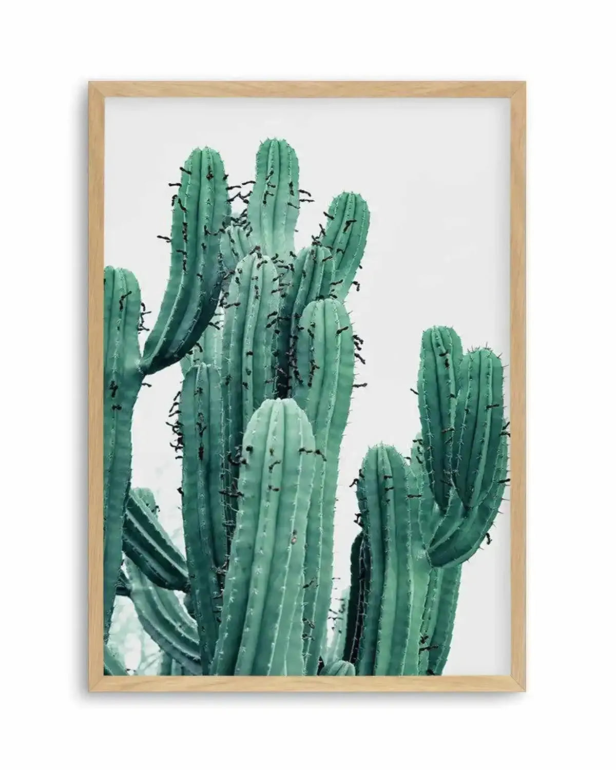 Green Cactus II Art Print from Olive et Oriel where you can shop wallpaper and artworks online