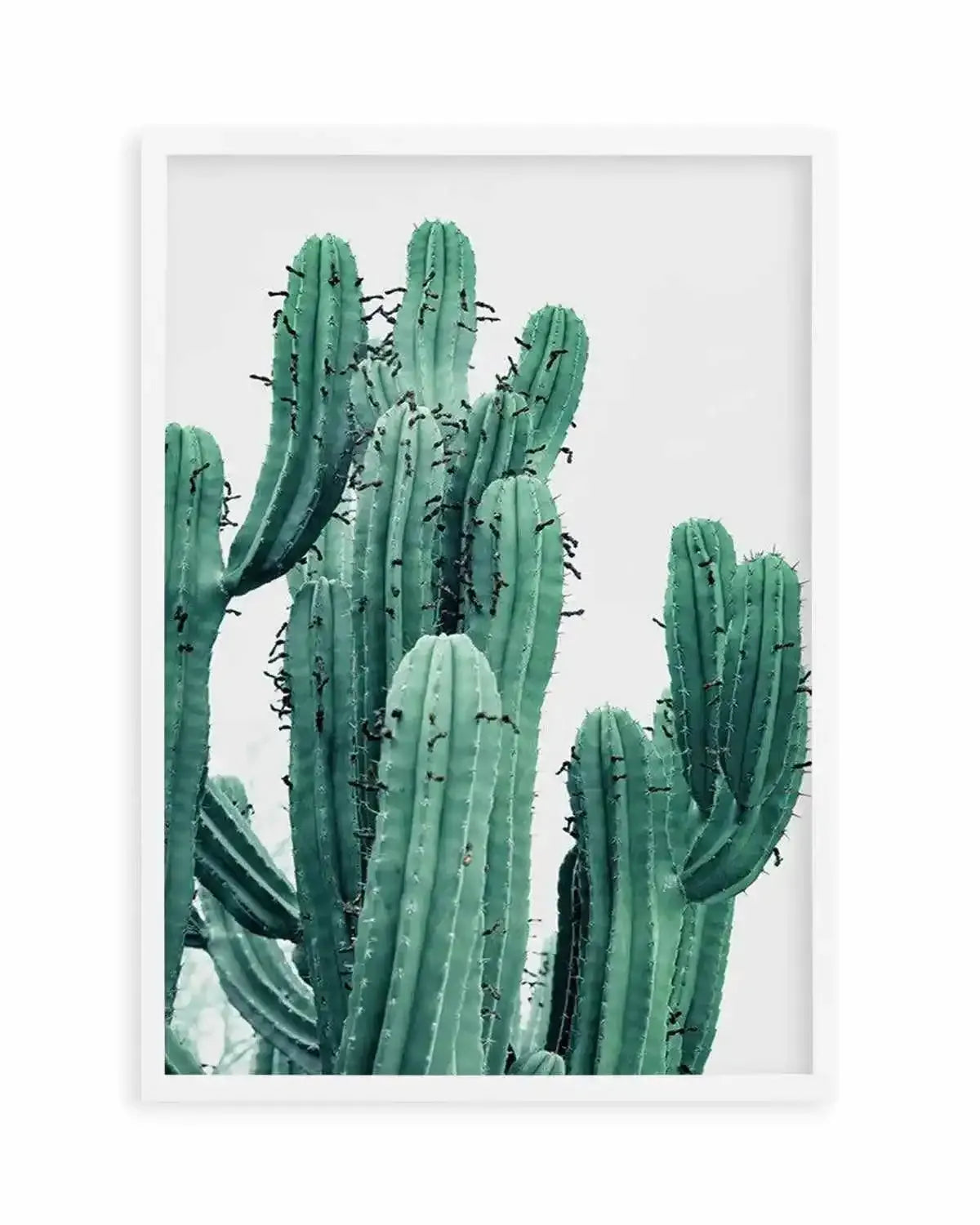 Green Cactus II Art Print from Olive et Oriel where you can shop wallpaper and artworks online
