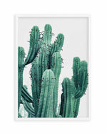 Green Cactus II Art Print