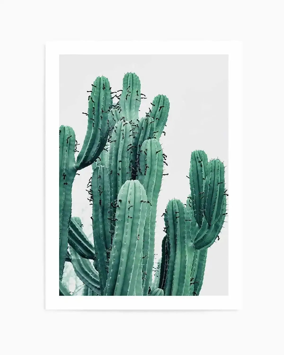 Green Cactus II Art Print from Olive et Oriel where you can shop wallpaper and artworks online