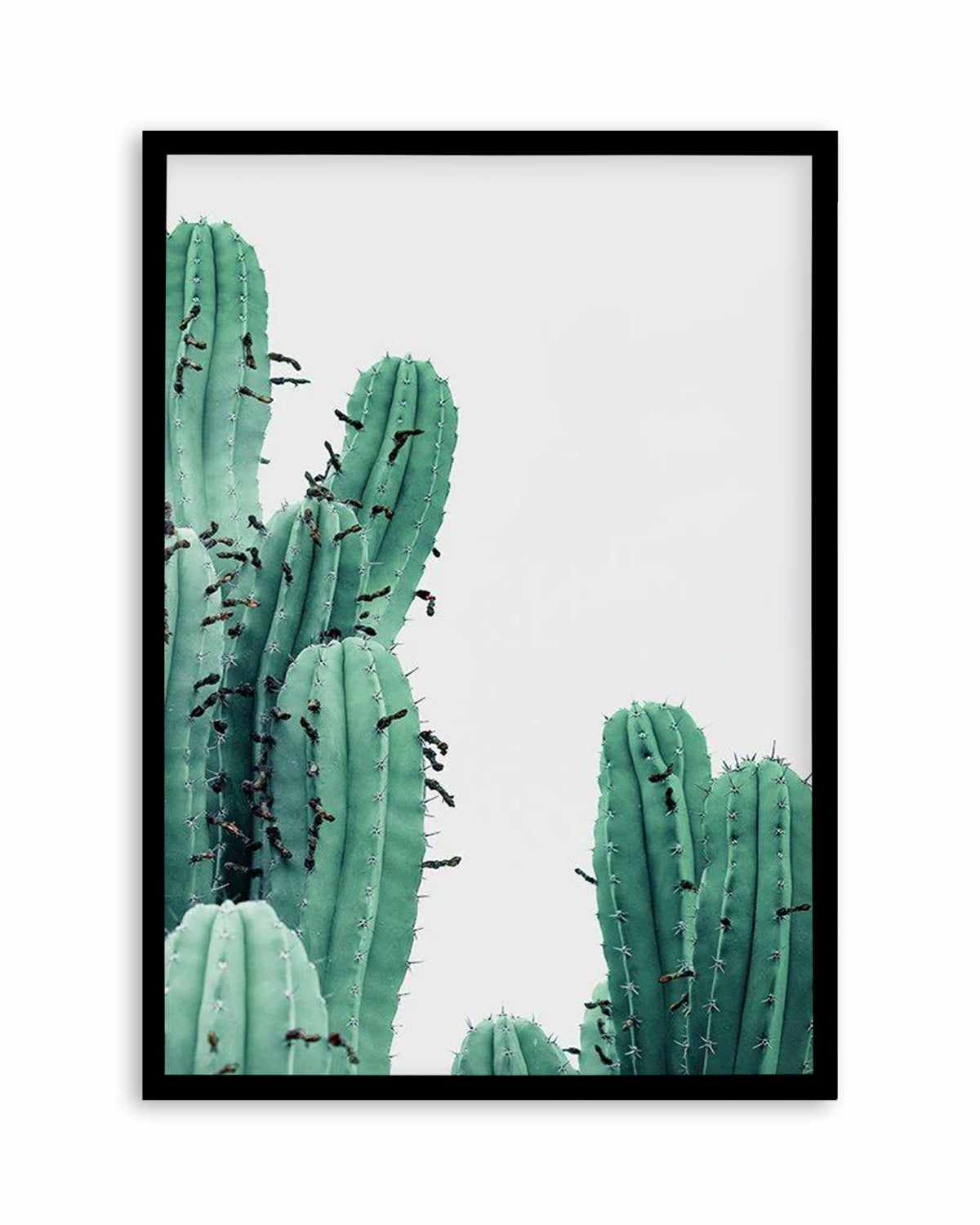 Green Cactus III Art Print