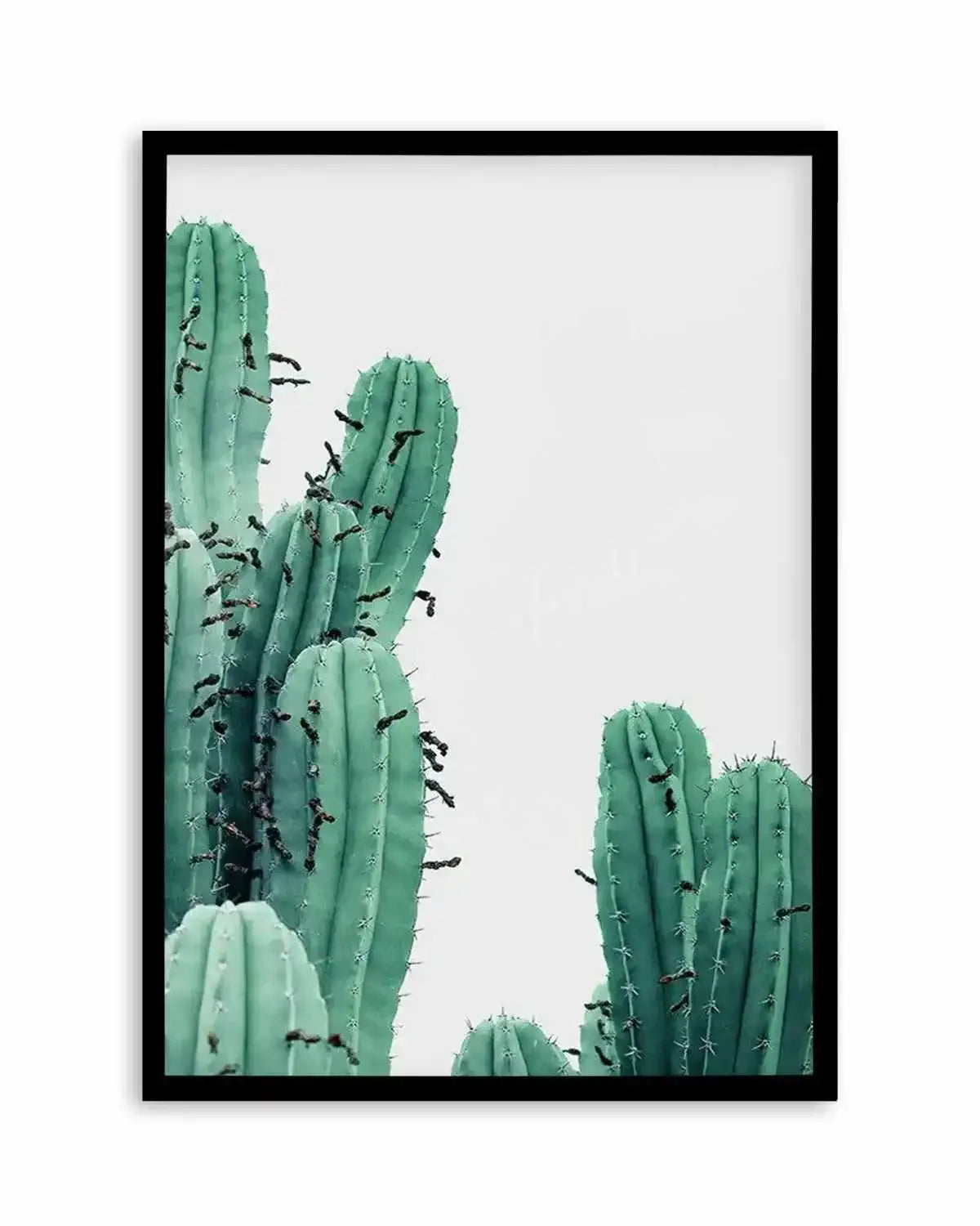 Green Cactus III Art Print from Olive et Oriel where you can shop wallpaper and artworks online