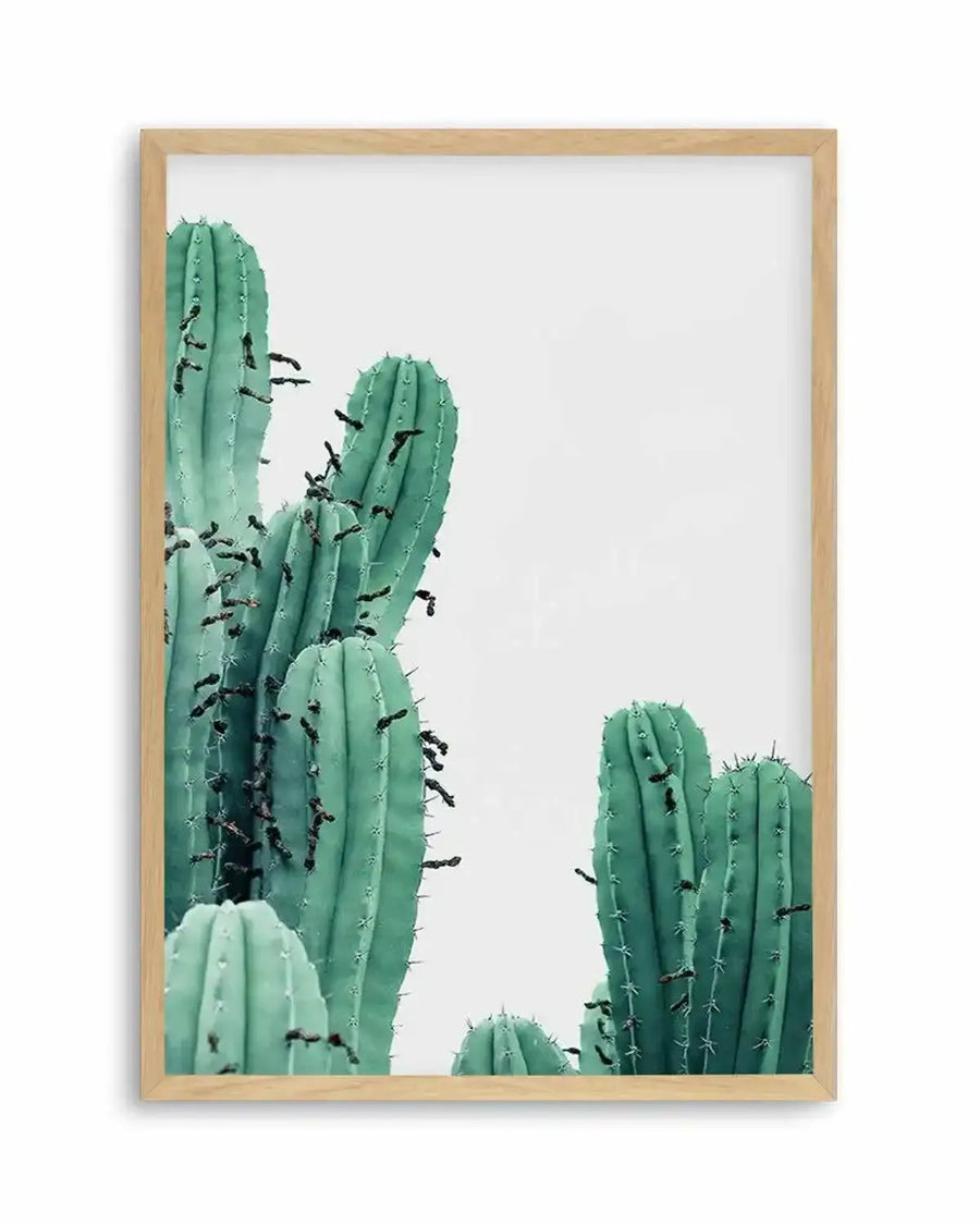 Green Cactus III Art Print from Olive et Oriel where you can shop wallpaper and artworks online