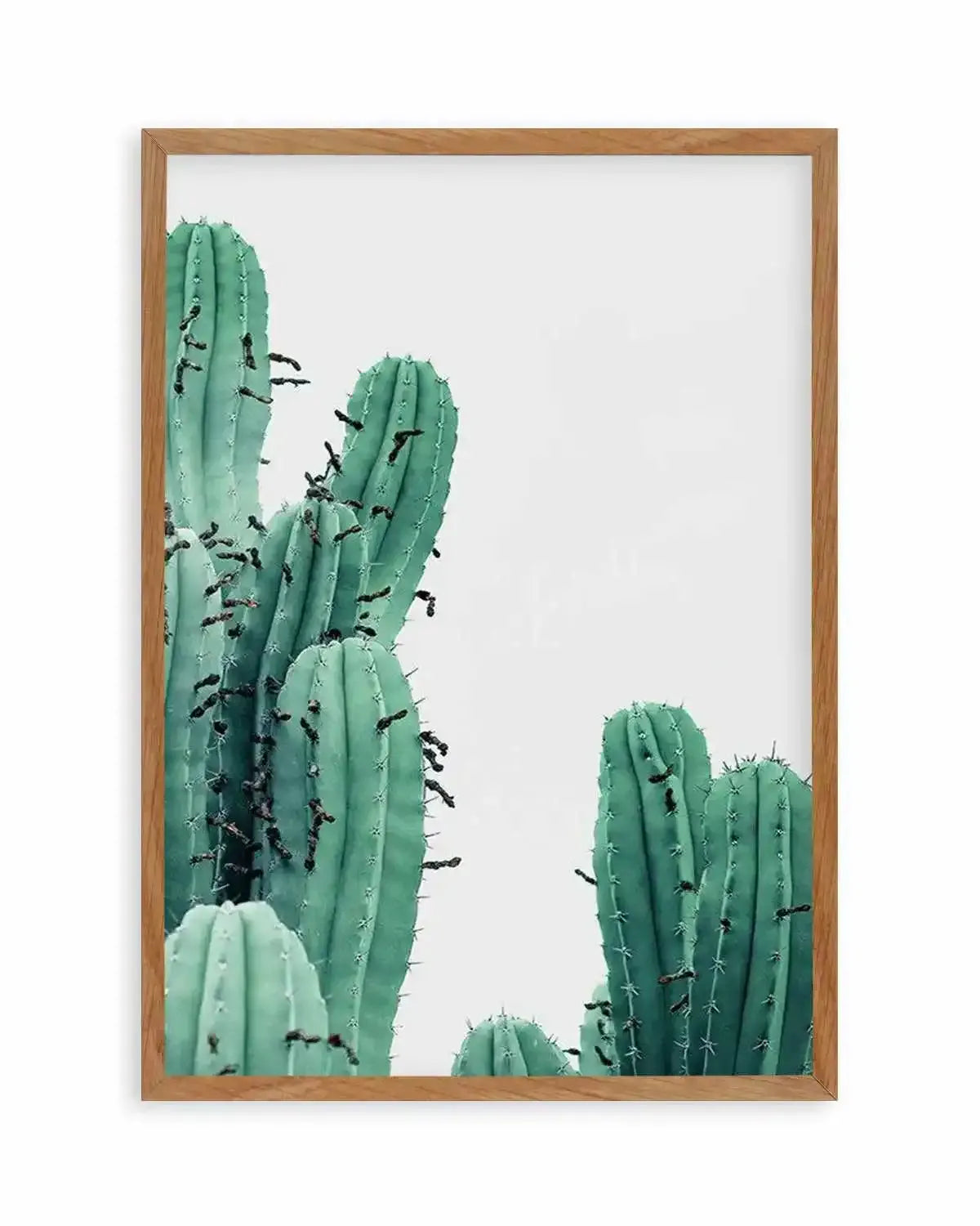 Green Cactus III Art Print from Olive et Oriel where you can shop wallpaper and artworks online
