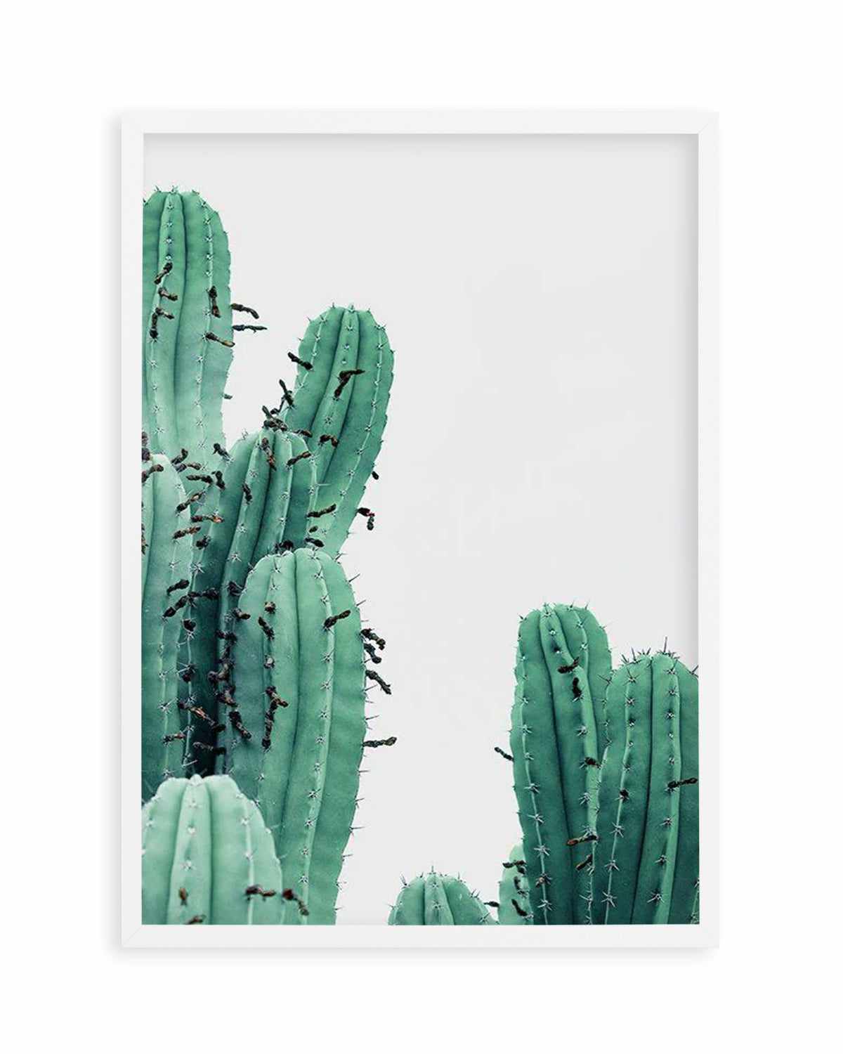 Green Cactus III Art Print