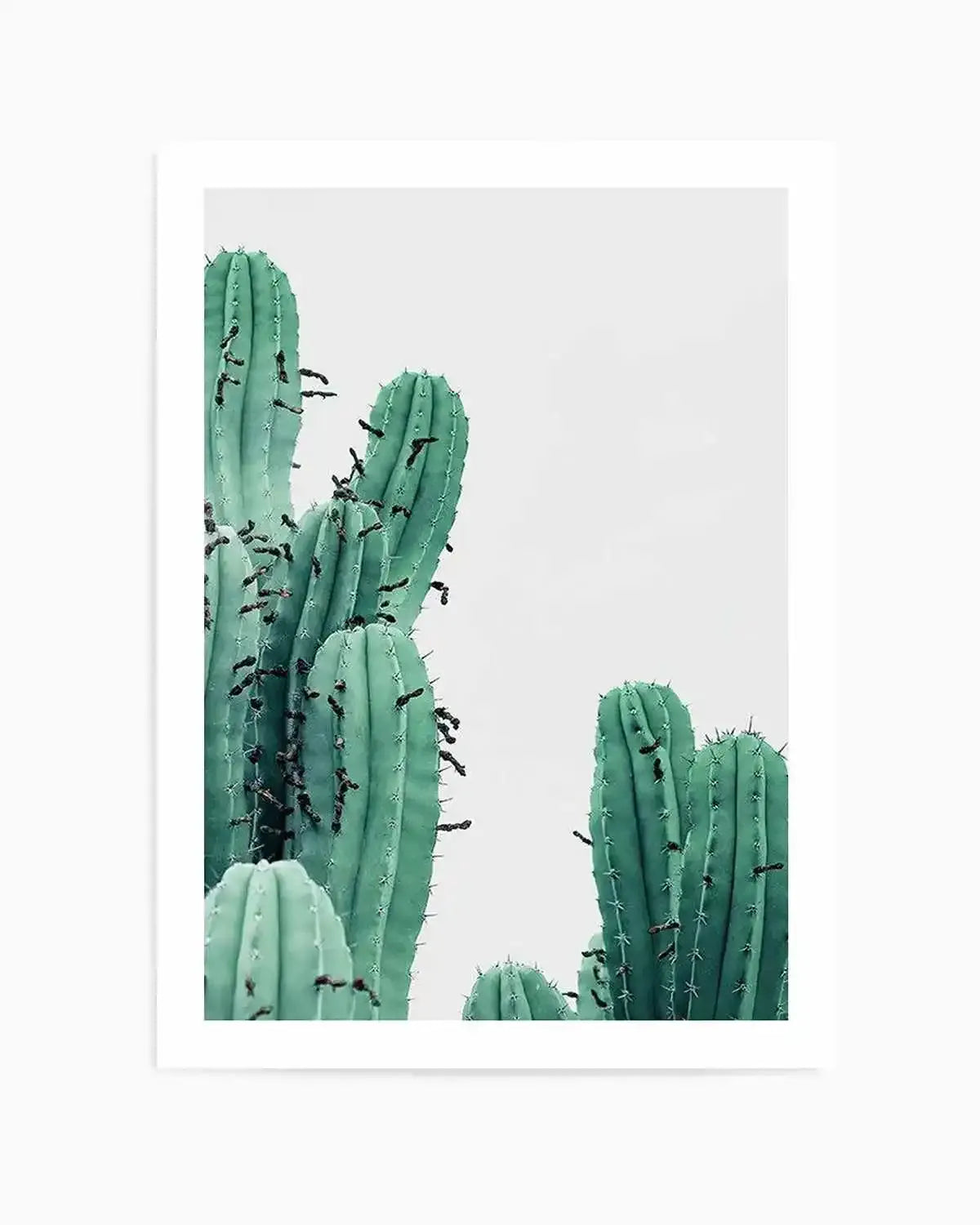 Green Cactus III Art Print from Olive et Oriel where you can shop wallpaper and artworks online