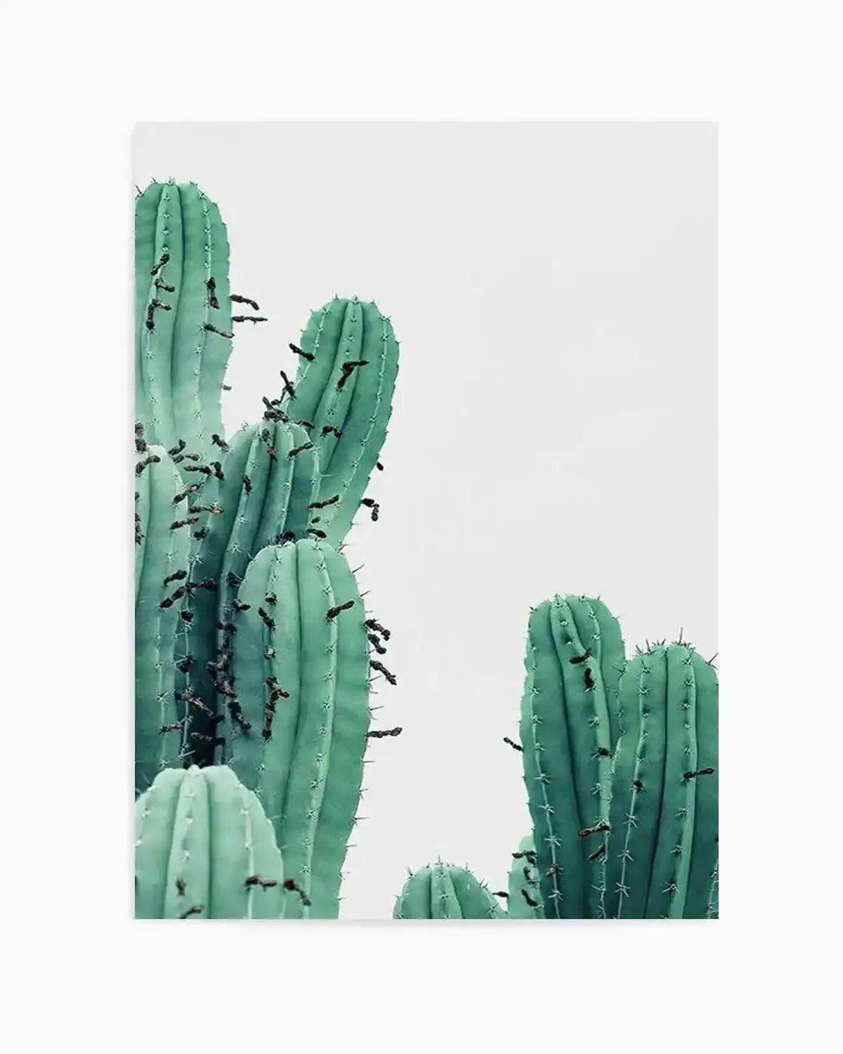 Green Cactus III Art Print from Olive et Oriel where you can shop wallpaper and artworks online